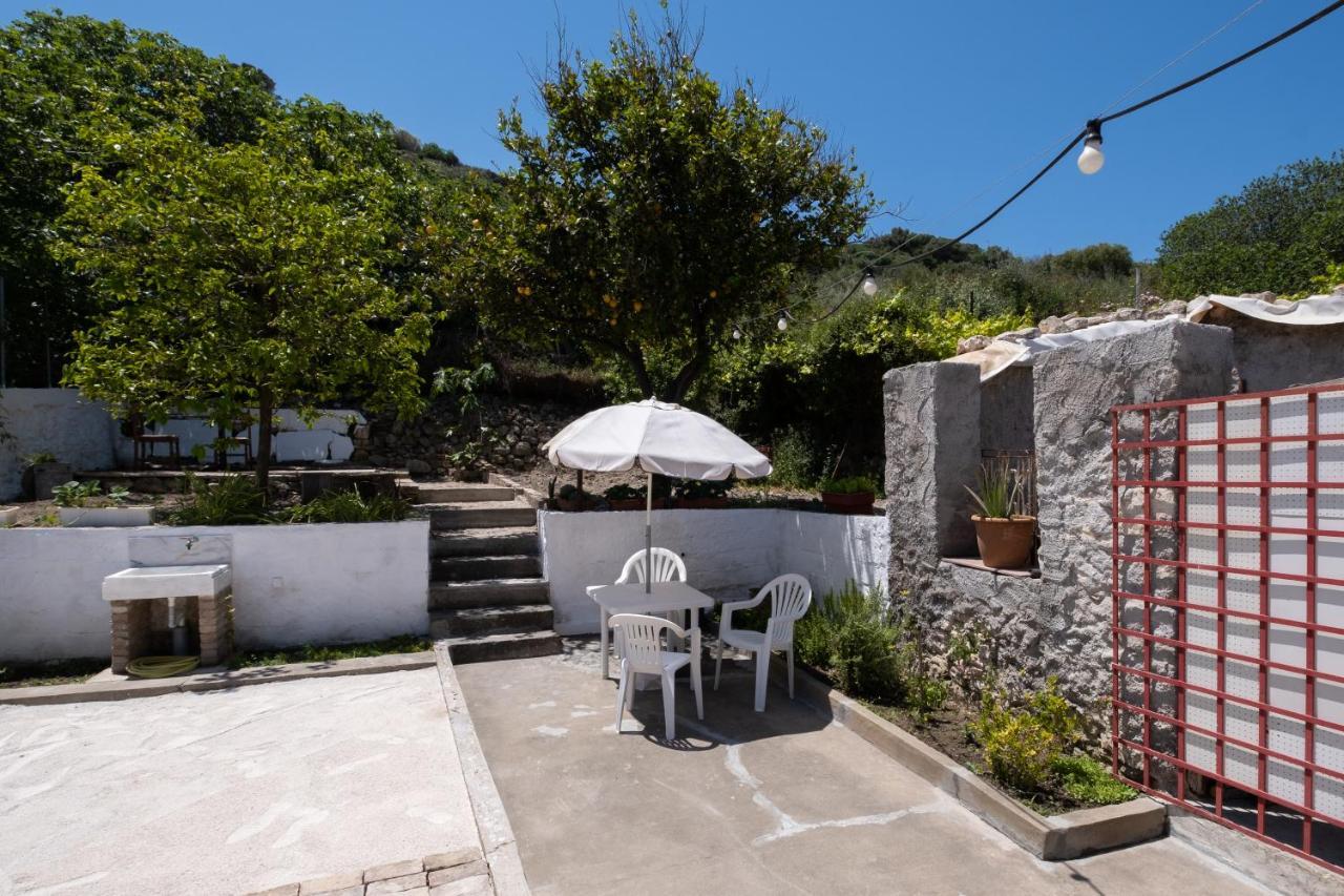 Jasmine Home By The Sea By 8Essentially كاليفيس المظهر الخارجي الصورة